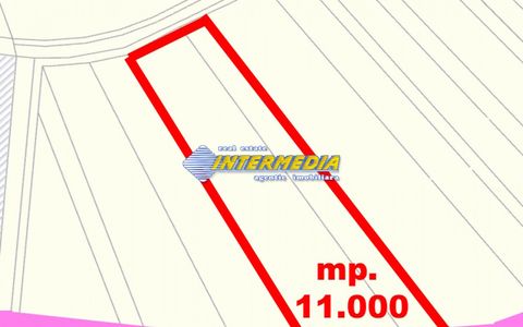 Teren Intravilan Constr Industriale 11800 mp PUZ utilitati Zona Carolina Mall