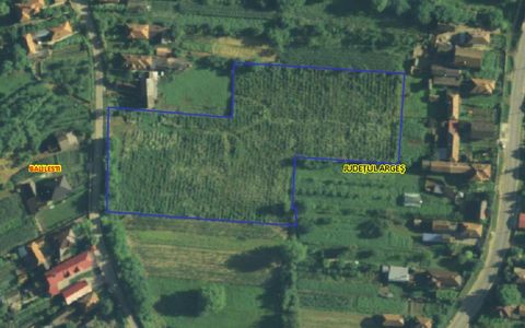 Teren la tara intravilan Bajesti, Balilesti, Arges | 9.464 mp | 7 euro/mp