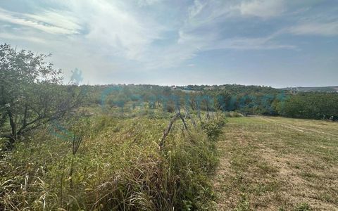 Teren intravilan de vanzare, la 1 min de str Gheorghe Doja, Saldabagiu de Munte