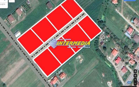 Teren intravilan de vanzare in suprafata de 500 mp, Oarda de Sus