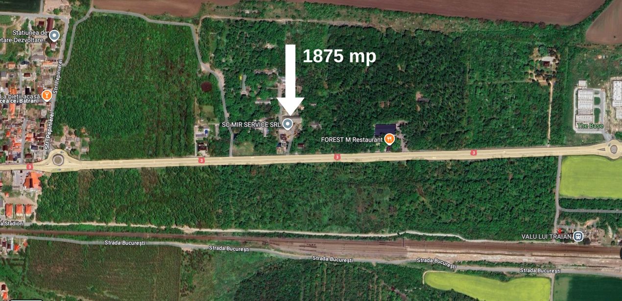 Hala 450 mp in mijlocul padurii Valu lui Traian cu teren 1875 mp – fotografia 8 din 9