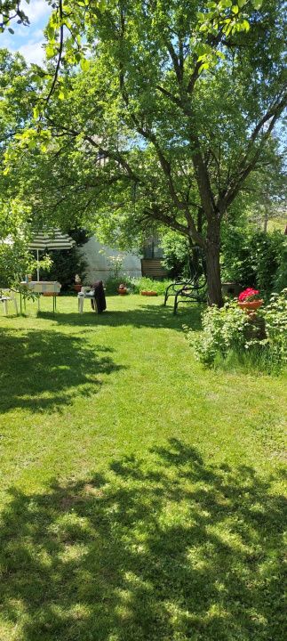 Teren intravilan Tocile, 1.093 mp / livadă, cabană, rulotă și o toamna frumoasă! – fotografia 16 din 37