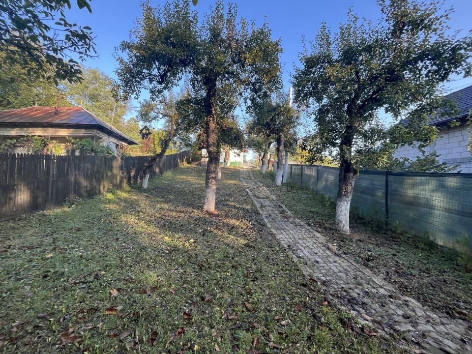 Casă P+M cu vedere spre pădure și teren de 866 mp in Magura Hulubesti – fotografia 33 din 41