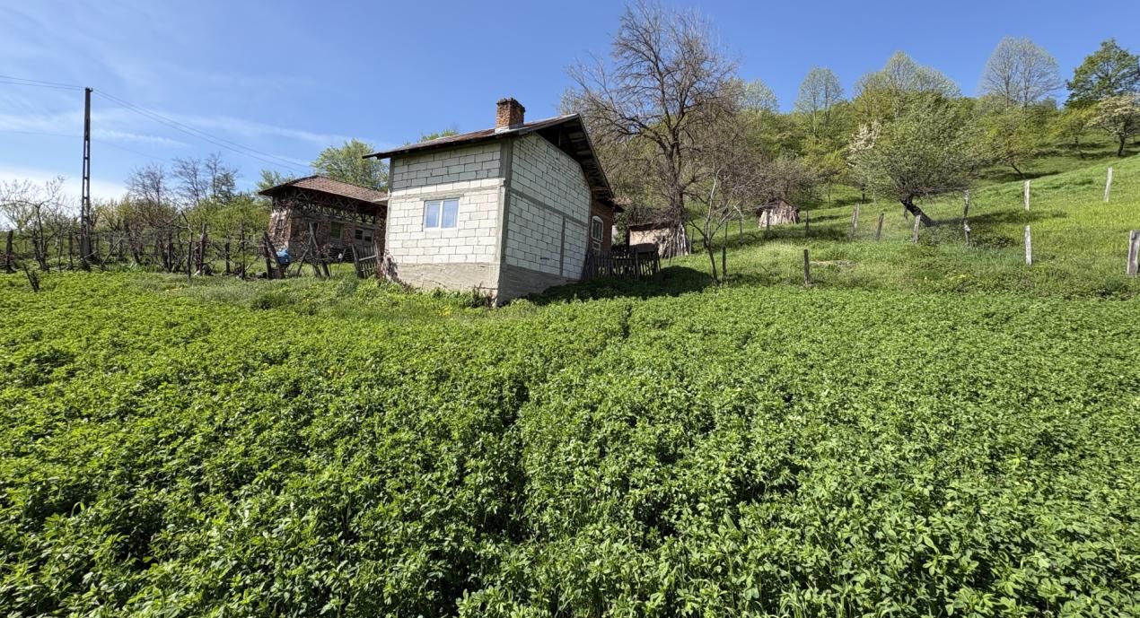 14.613 mp teren | Casă la roșu și 2 case tradiționale | 1,5 km de A1 Tigveni – fotografia 8 din 10