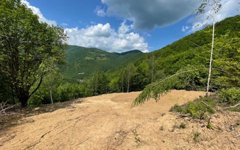 Teren 2200 mp, intravilan, zona Somesul Rece