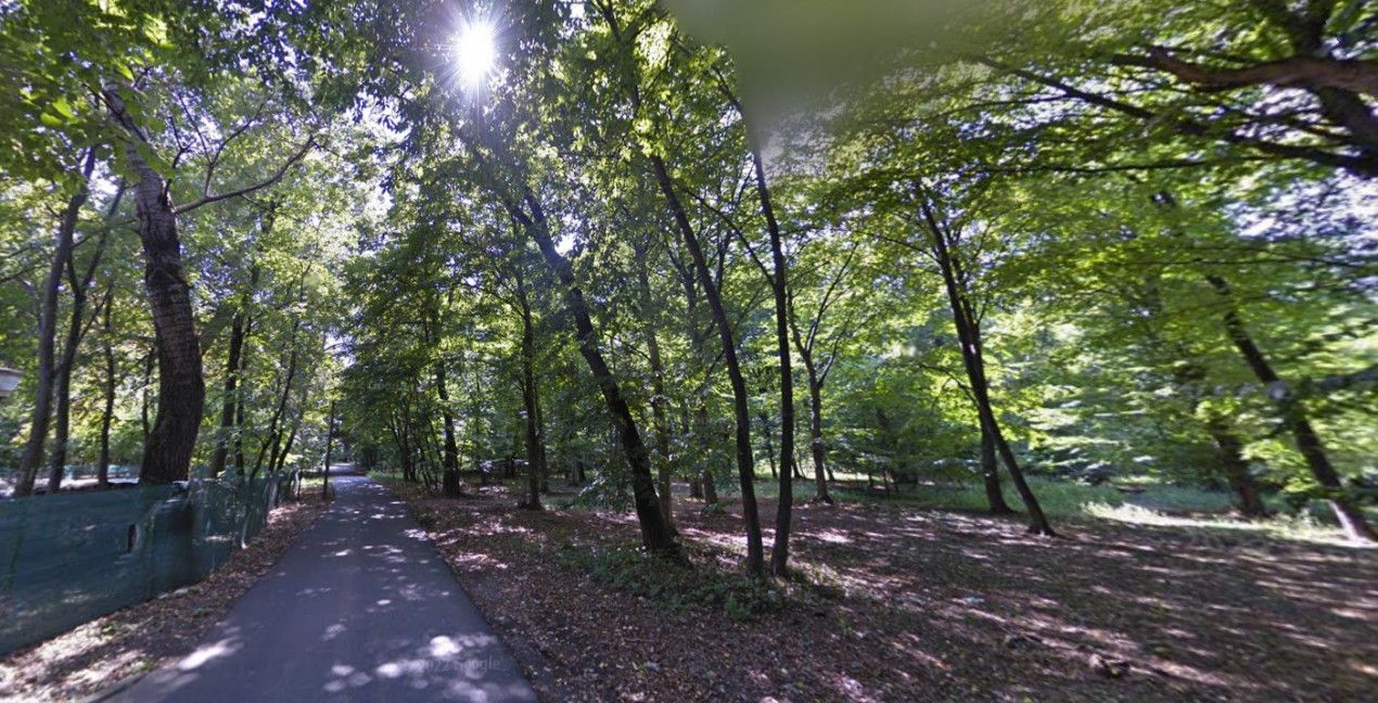 Teren cu deschidere la Padurea Snagov- Gruiu – fotografia 1 din 3