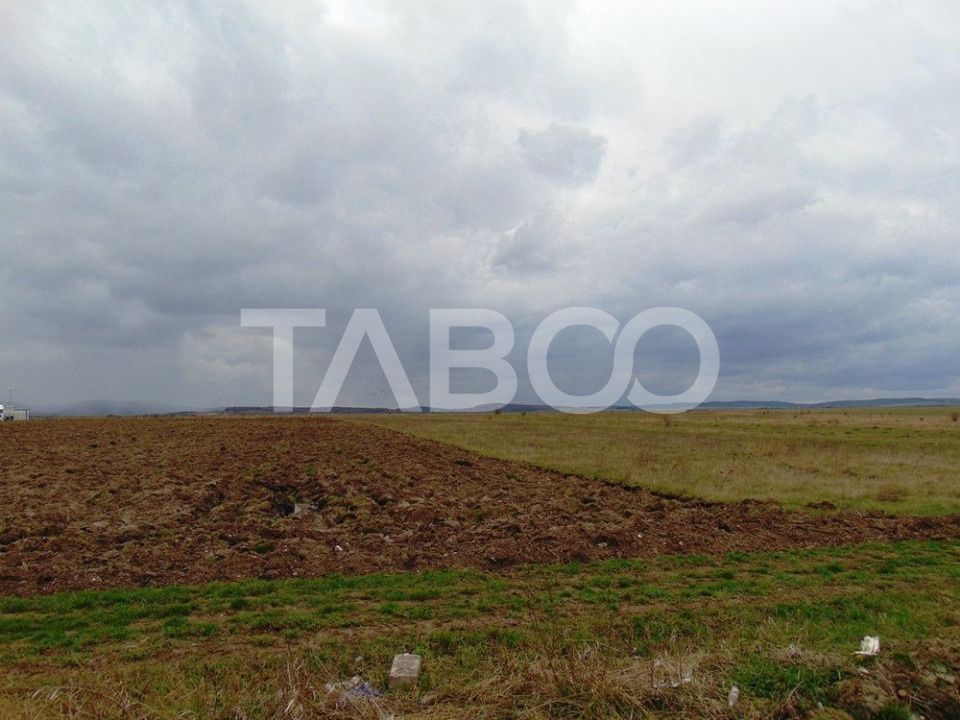 Teren intravilan 2 ha deschidere drum zona Industriala Vest Sibiu – fotografia 4 din 7
