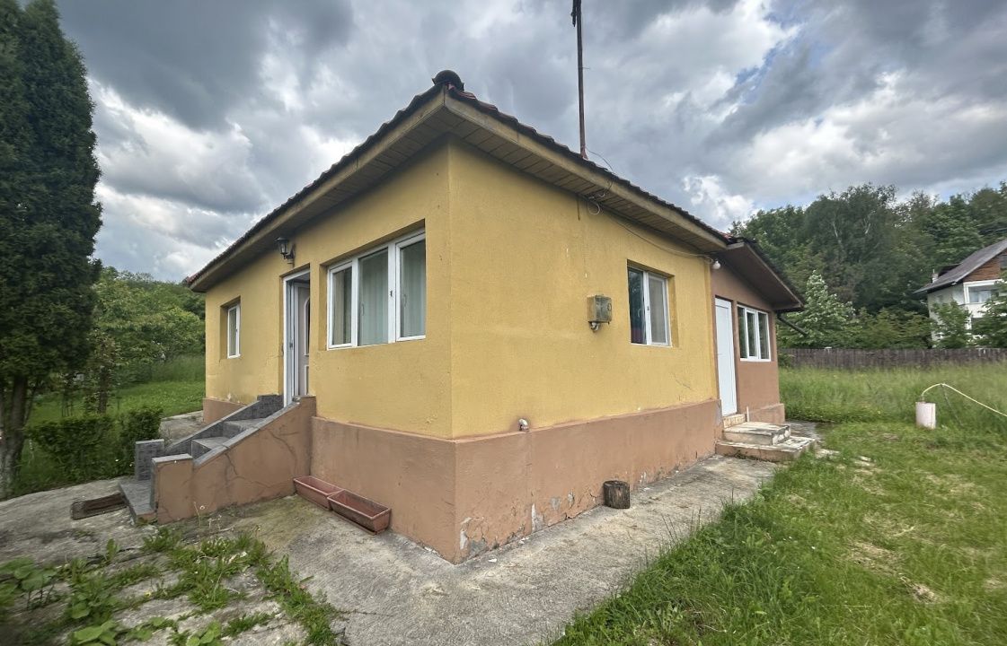VAND CASUTA CU 3120 MP TEREN, SURDESTI BREAZA – fotografia 2 din 10