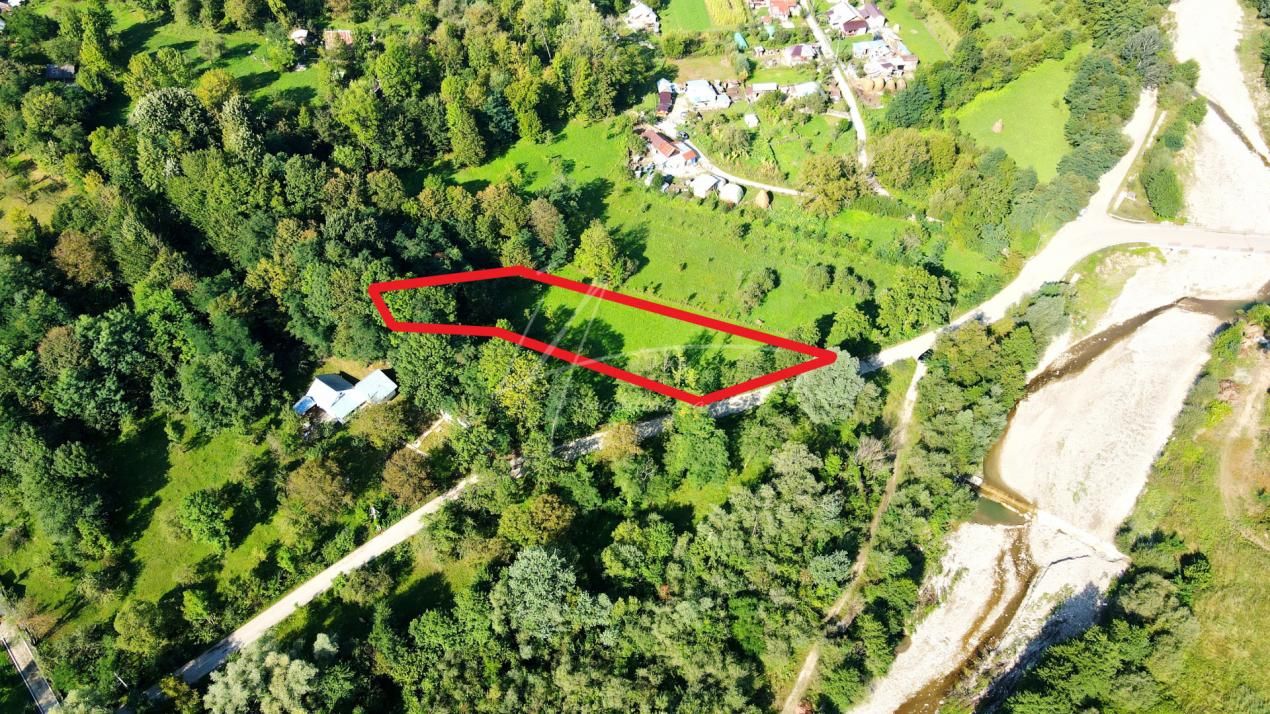 TEREN IN SUPRFATA DE 2870 MP IN PROVITA DE SUS VALEA BRADULUI JUD PRAHOVA – fotografia 10 din 16