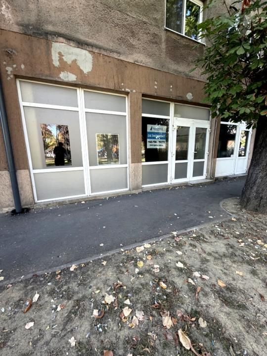 Spațiu comercial cu vizibilitate de inchiriat, Cantemir, Oradea, Bihor – fotografia 1 din 5