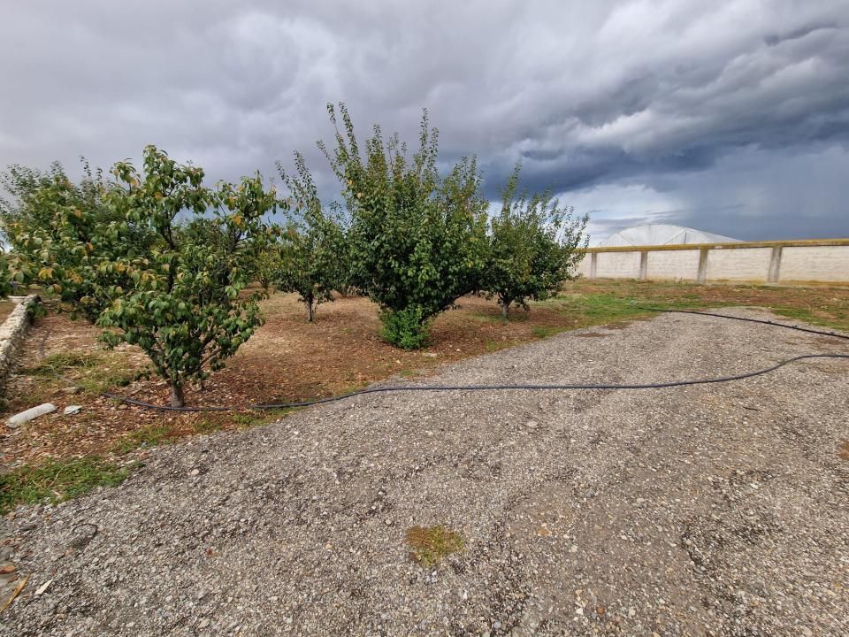 Teren de vanzare  intravilan 700 mp + 800mp livada  Racovița (DB) – fotografia 3 din 3