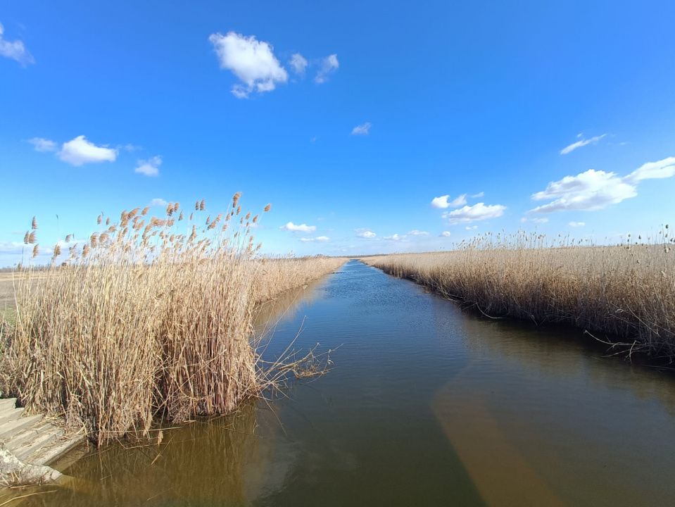 Fermă piscicolă 1100 ha - Chilia Veche Delta Dunării – fotografia 20 din 30