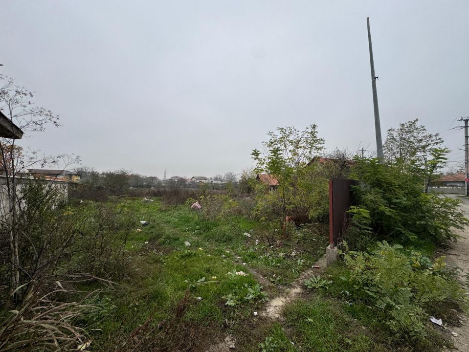 Teren 941 mp în Tânganu – Cernica | Acces rapid București & A2| – fotografia 3 din 7