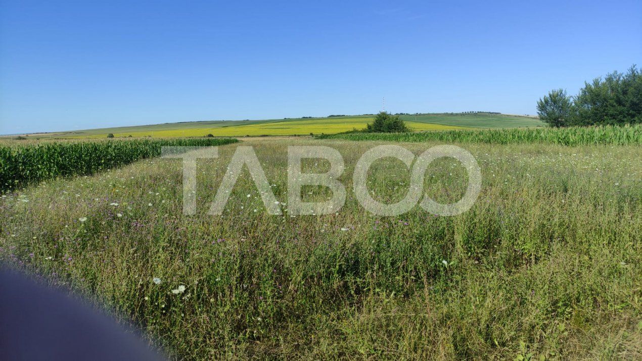 Teren extravilan de vanzare 25920 mp in Sura Mica Sibiu – fotografia 6 din 7