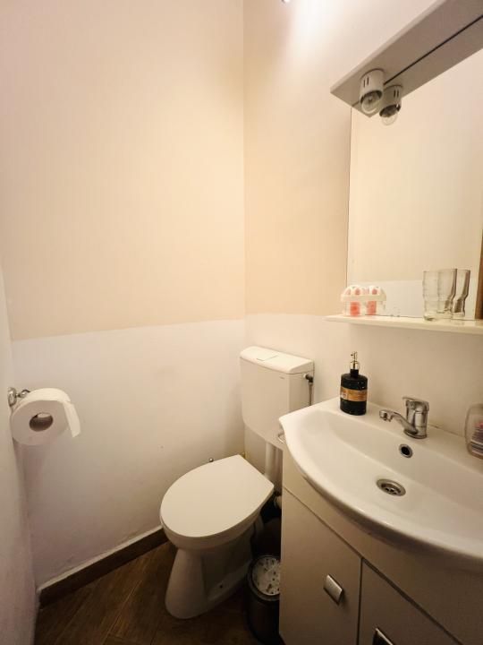 Casa individuala 5 camere - Zona Cetatii Timișoara – fotografia 12 din 15