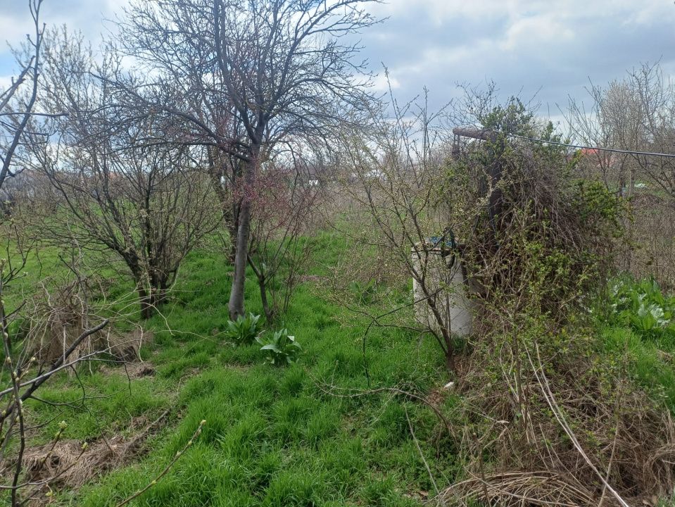 ✨Vilă P+1 în Amara | 1.170 mp Teren | Toate utilitățile | Str. Băilor✨ – fotografia 13 din 14