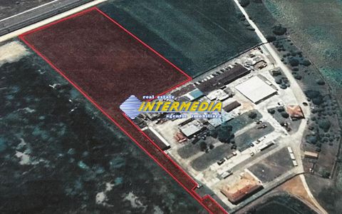 Teren Intravilan de vanzare Vintu de Jos 1.47 Ha