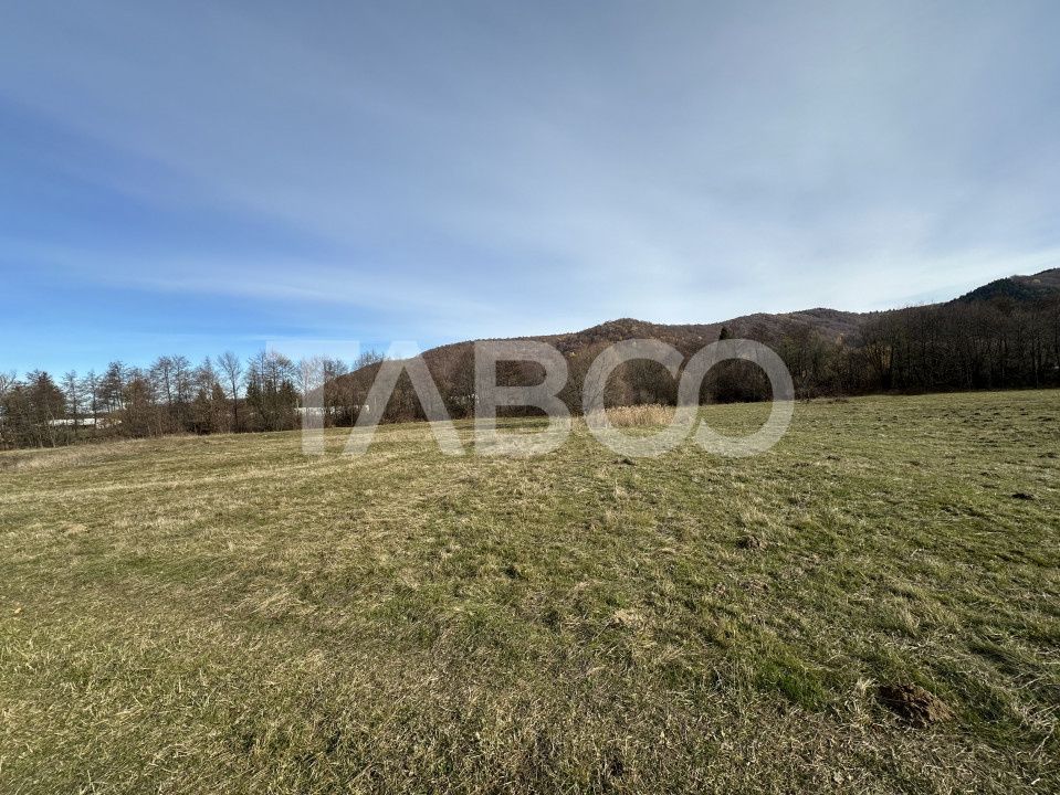 COMISION 0% Teren extravilan 1630 mp langa Rau pe Valea Sebesului – fotografia 3 din 3