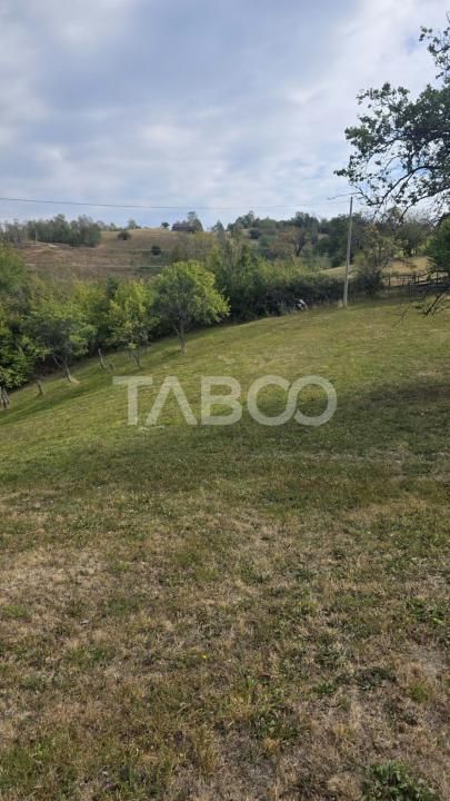 Teren de vanzare 8.300 mp Plesi Loman judetul Alba – fotografia 1 din 10