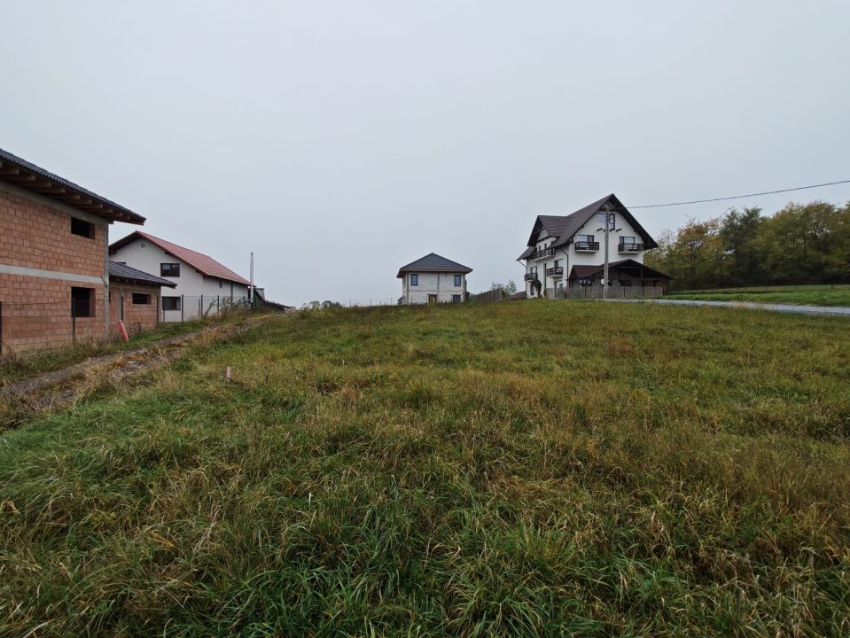 Teren de vânzare în Sovata - 1000 mp / Dealul Mestecănișului – fotografia 8 din 11