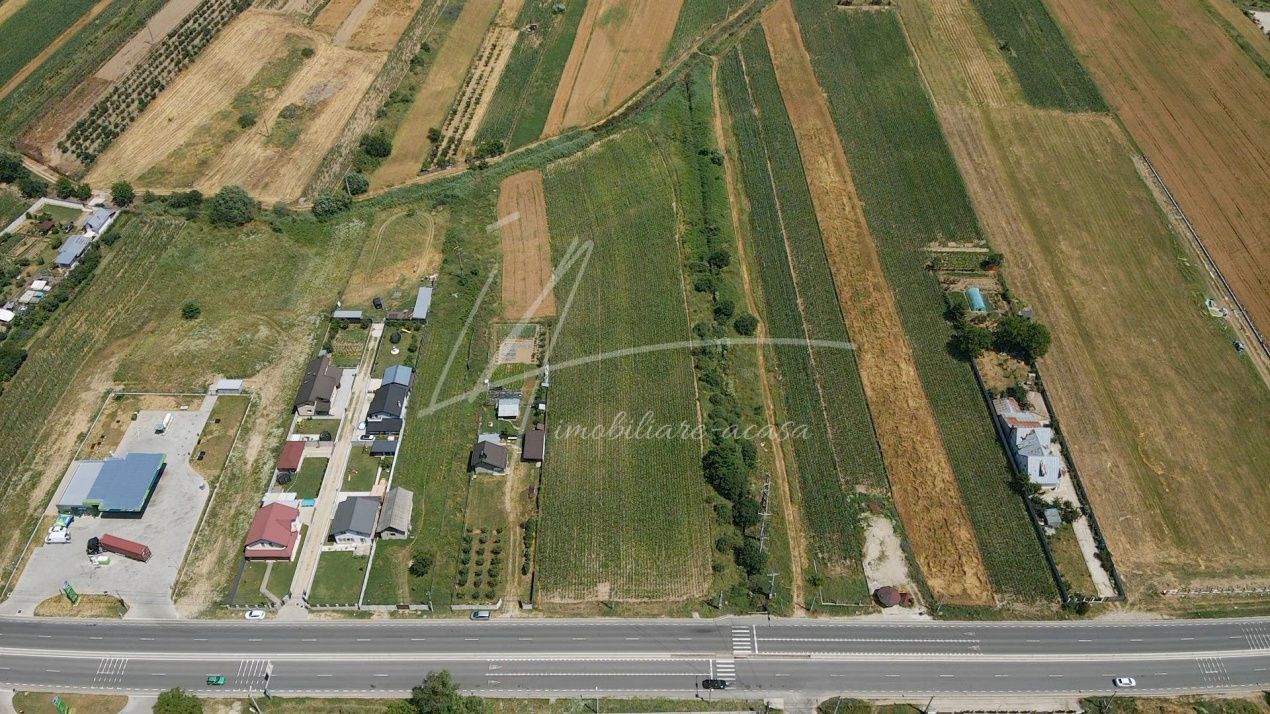 Teren cu potențial de dezvoltare –7427 mp în Argeșelu, Mărăcineni, județul Arges – fotografia 5 din 11