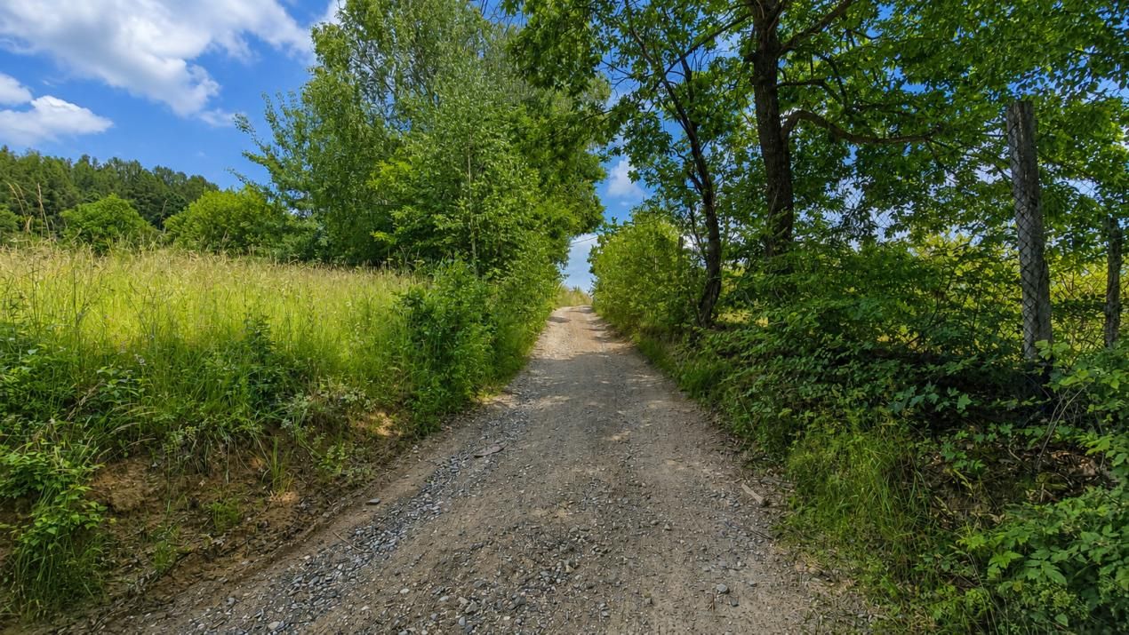 De vânzare teren cu potențial de dezvoltare zona  After Hills – fotografia 4 din 8
