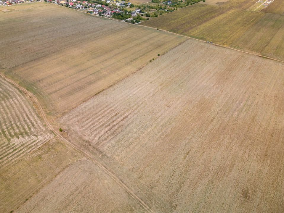 DASCALU - TEREN INTRAVILAN 7500 MP, INVESTITIE! – fotografia 16 din 17