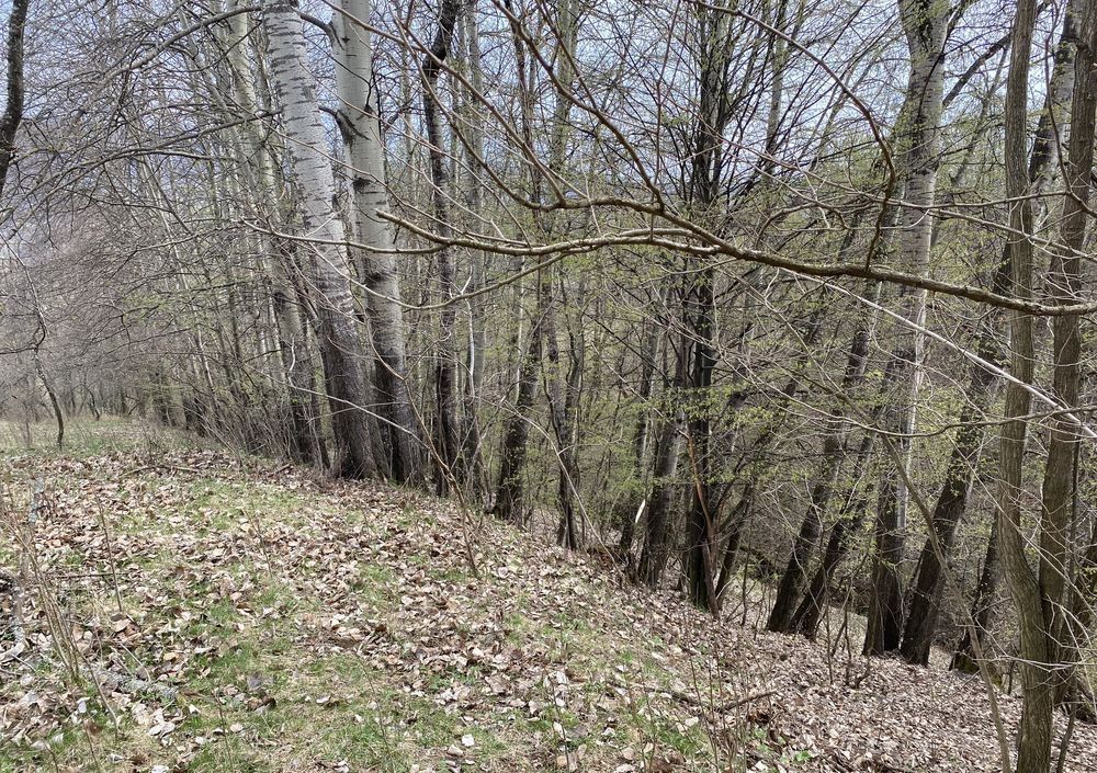 🏡 Oportunitate investiție în Corbi, Argeș | 22.000 mp teren în zonă de poveste – fotografia 3 din 8