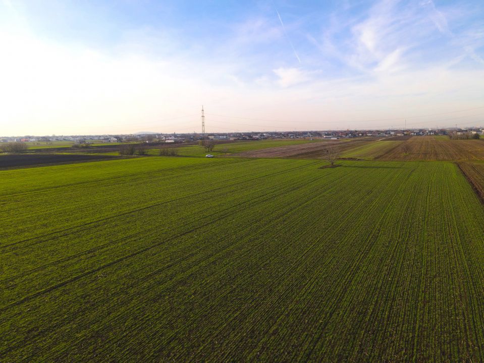 Teren Investitional 1,24 ha Com Berceni | deschidere 42ml | #CG28 – fotografia 6 din 7