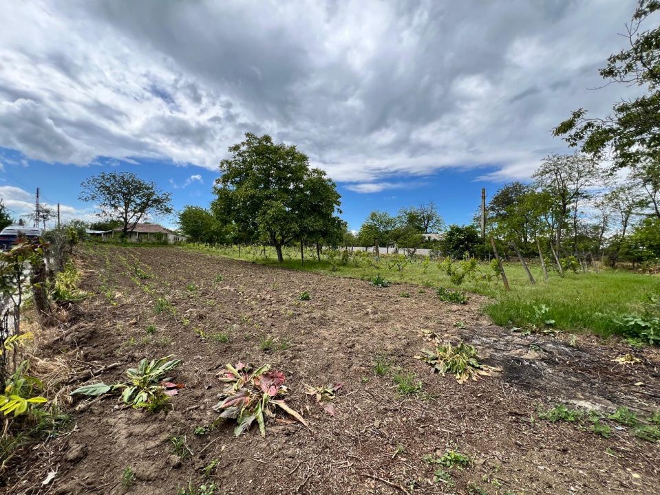 Casă + teren 4430 mp, vie și pomi fructiferi, 22 km de Tecuci – fotografia 33 din 36