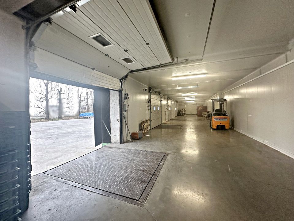 Hale frigorifice de închiriat în zona Est, Centura Oradea, Bihor – fotografia 5 din 5