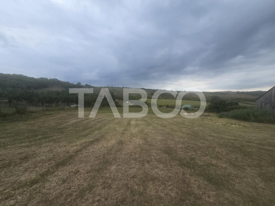 Teren de vanzare 8700 mp cu un front de 30m in Sura Mare – fotografia 8 din 8