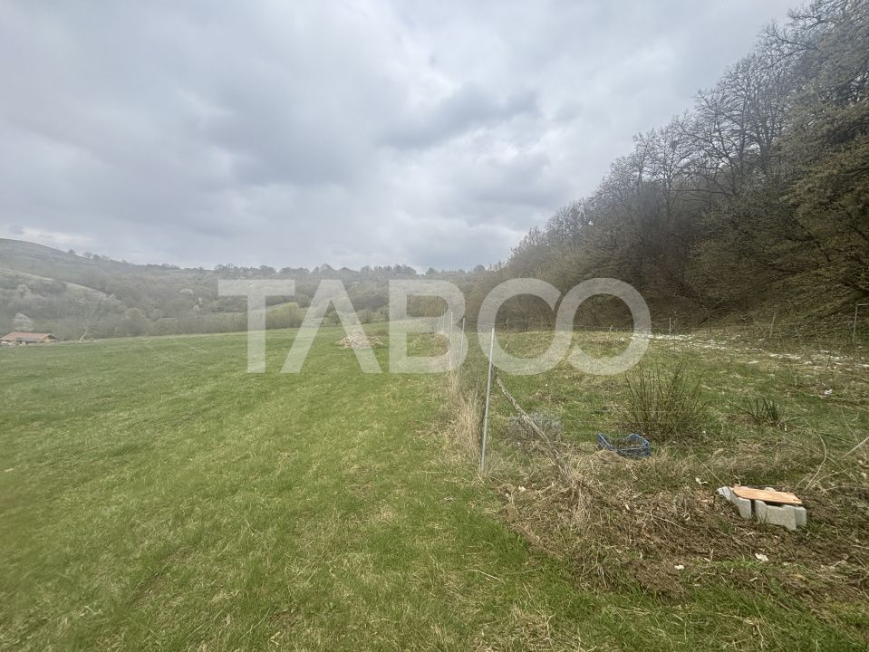 Teren de vanzare langa padure 15600 mp in Hamba Sibiu – fotografia 2 din 3