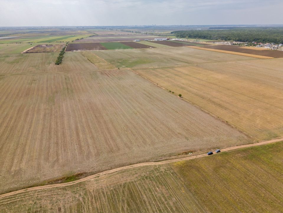 DASCALU - TEREN INTRAVILAN 7500 MP, INVESTITIE! – fotografia 4 din 17