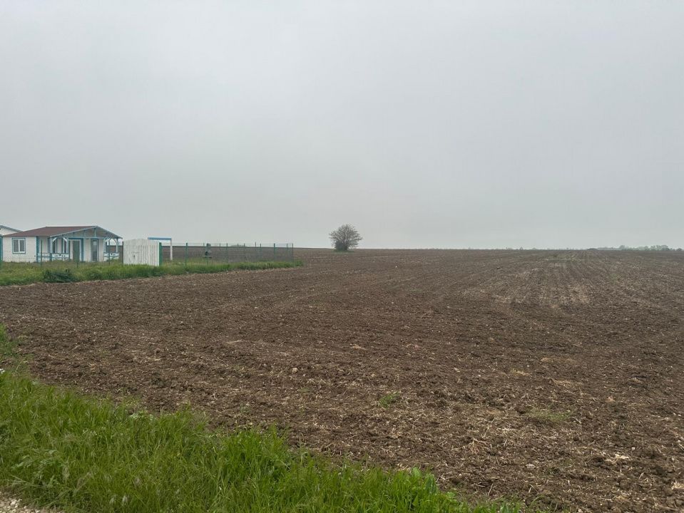 Casa de vanzare in 23 August - Olimp │ 280mp de teren – fotografia 3 din 6