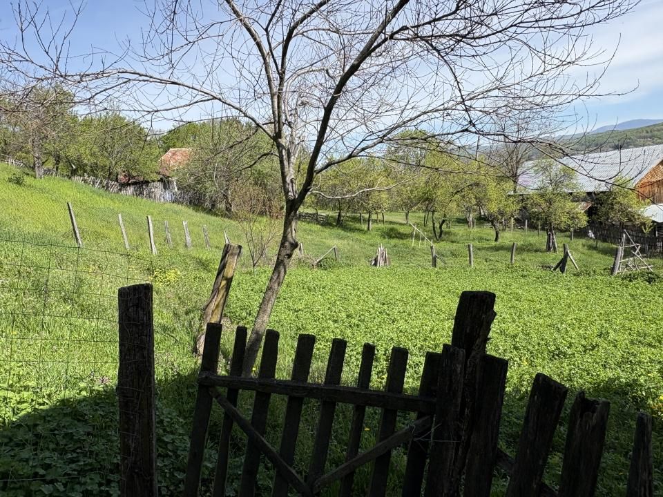 14.613 mp teren | Casă la roșu și 2 case tradiționale | 1,5 km de A1 Tigveni – fotografia 6 din 10