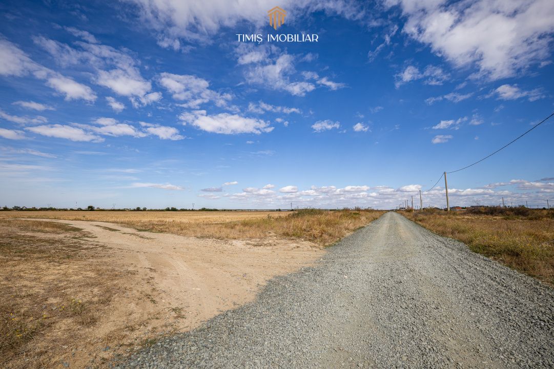 Terenuri disponibile pentru locuinte colective - S+P+2E-5E+M – fotografia 14 din 15