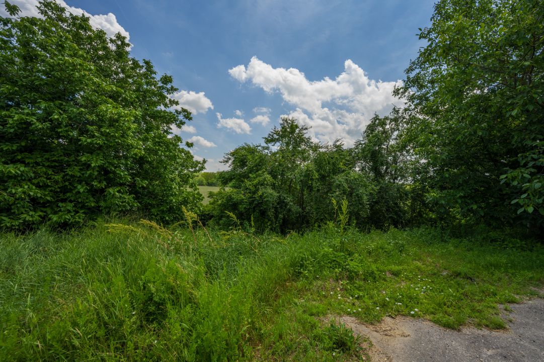 PERIS - LAC, TEREN CONSTRUCTII 5500 MP, DESCHIDERE 200 M! – fotografia 12 din 12