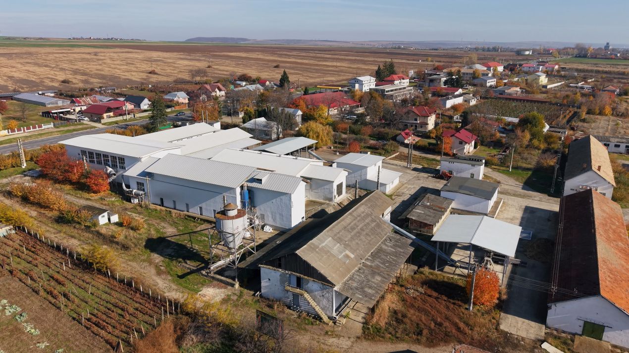 Complex Agroindustrial – Stație Uscare | Condiționare | Depozitare Seminte – fotografia 3 din 31