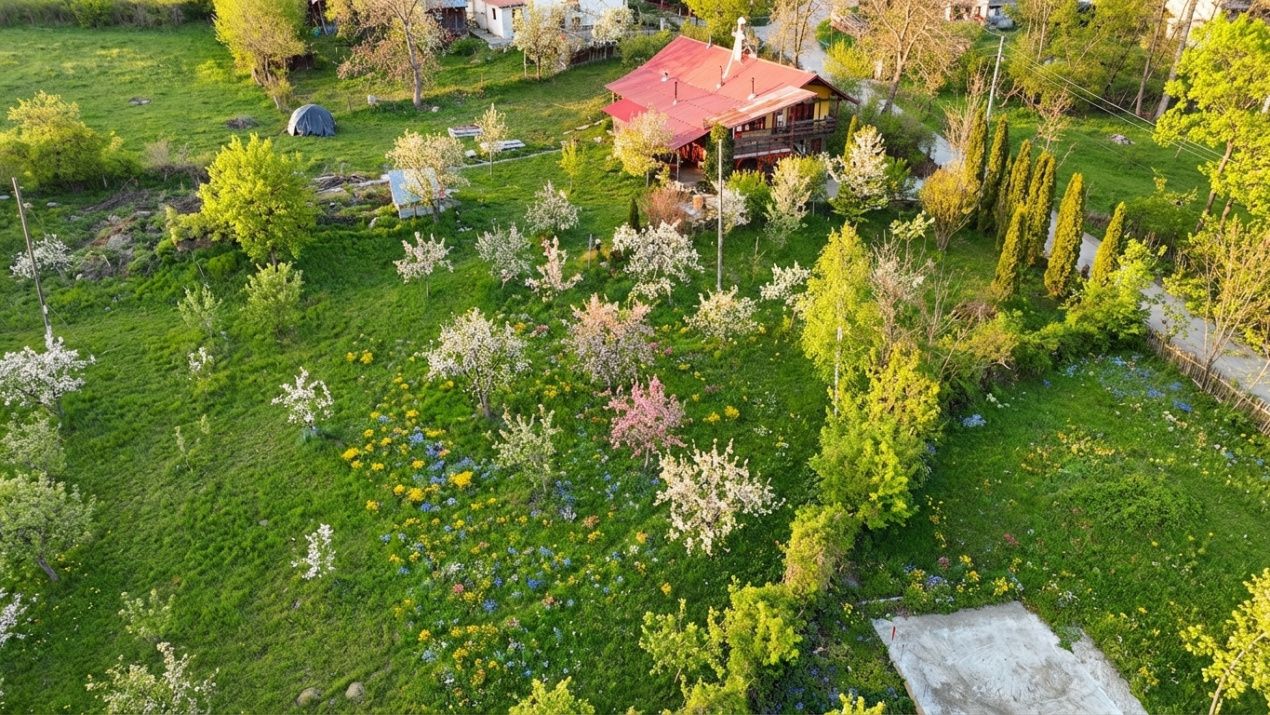 Teren intravilan Slanic Prahova – fotografia 4 din 6