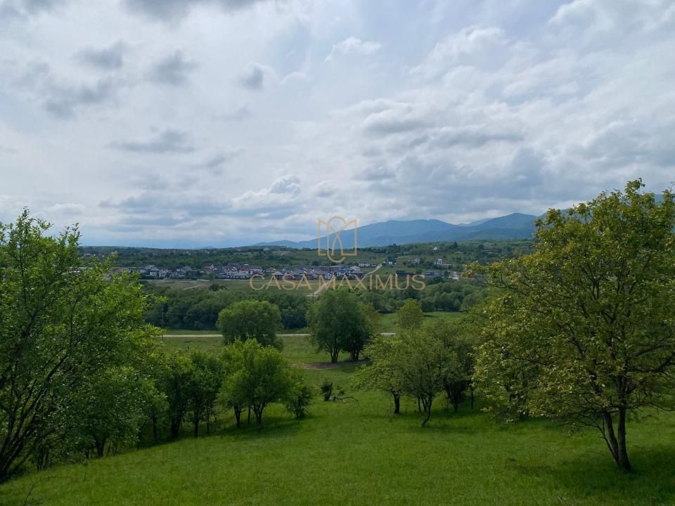 TEREN CU PANORAMĂ SPECTACULOASĂ ÎN CISNĂDIOARA – OPORTUNITATE DE INVESTIȚIE! – fotografia 11 din 15