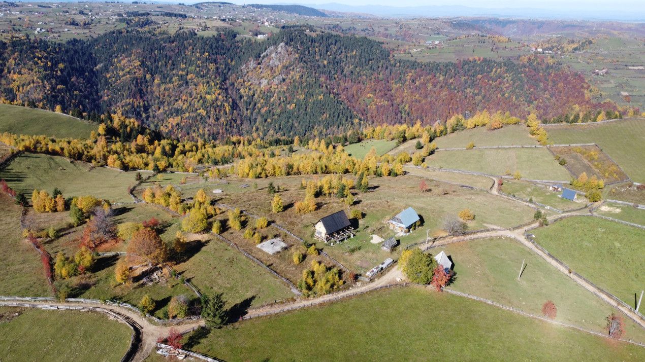 Oaza de natura si traditie cu potential turistic in Muntii Apuseni – fotografia 3 din 8