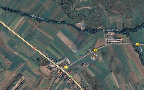 Hala cu gater si utilaje de vanzare, langa Alesd, judetul Bihor V2625A