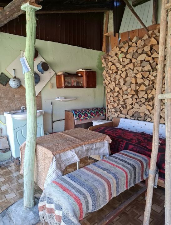 Casă în Cricău cu 1.375 mp teren, anexe, utilități, vie și livadă - Oportunitate – fotografia 46 din 54