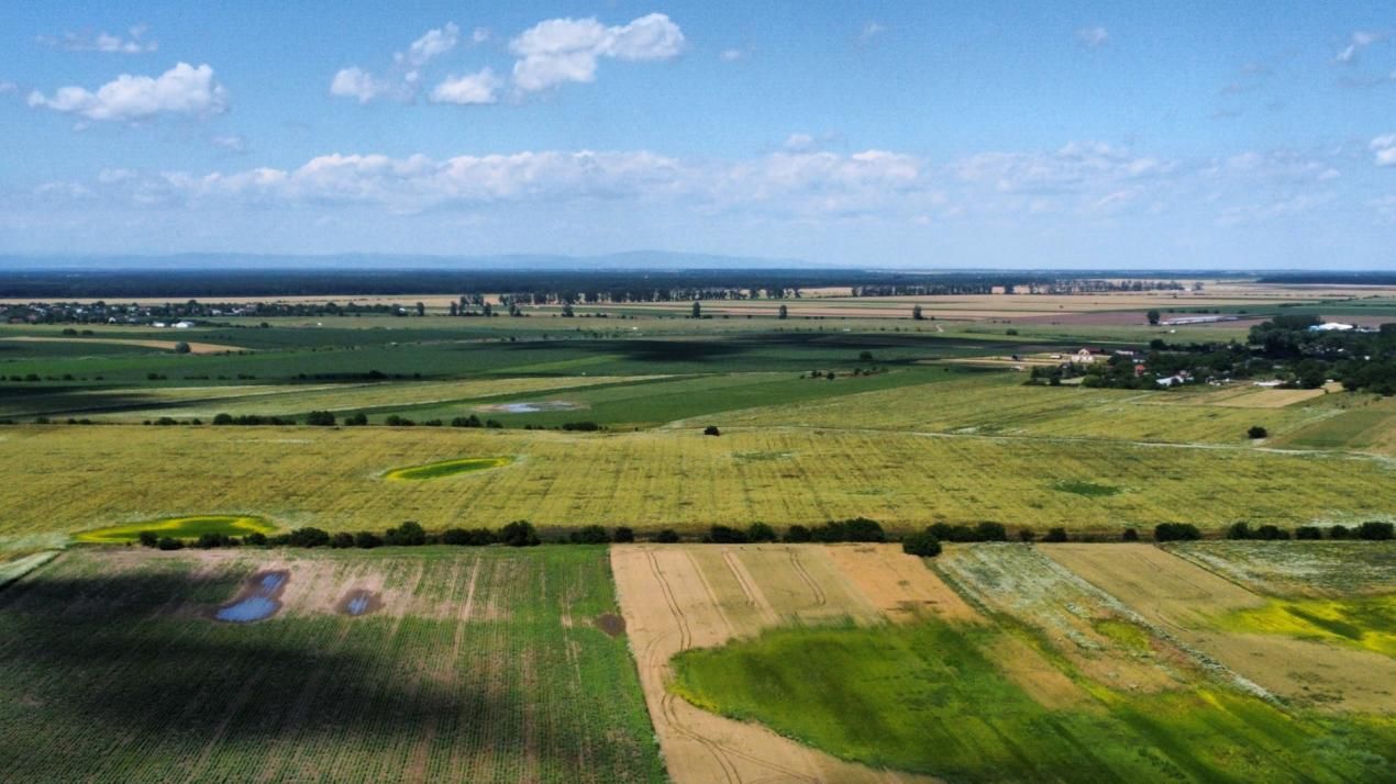 Teren Intravilan 20.000 mp Creața Dascălu, T66– dubla deschidere – fotografia 4 din 7