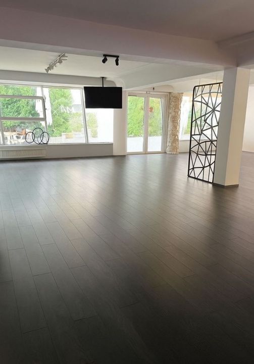 Spatiu Comercial 206 mp. Vanzare CETATE Bulevard Parcare Finisat Utilat complet – fotografia 1 din 10