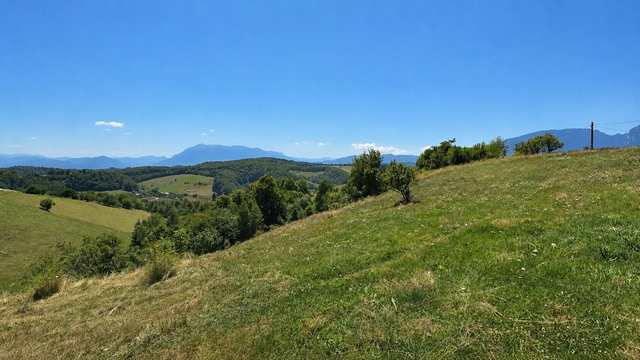 De vânzare teren cu potențial de dezvoltare – fotografia 5 din 7