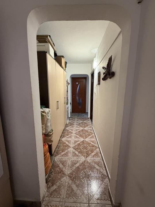 Apartament cu 3 camere, decomandat, parter - Baba Dochia – fotografia 7 din 7