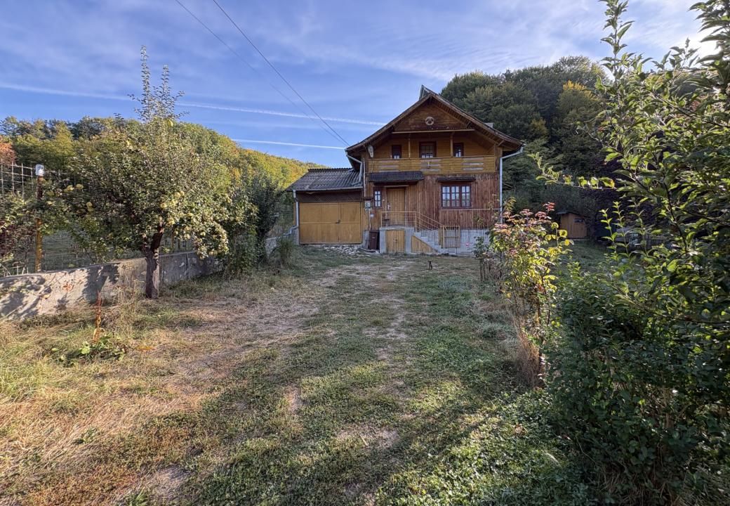 Micesti 12 km de Pitesti/ 2 cabane/ 2.500 mp teren/ priveliste superba – fotografia 1 din 15