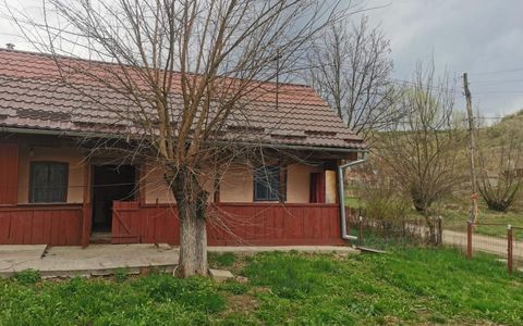 Casa individuala 100mp cu teren 8000mp